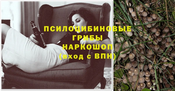 spice Абинск