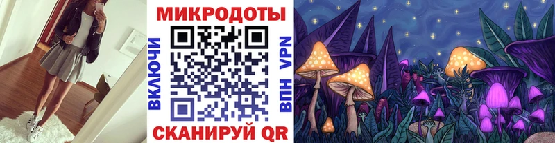 купить наркотики цена  Кировград  мориарти как зайти  Псилоцибиновые грибы мухоморы 